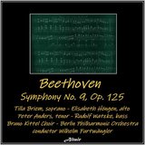 Symphony NO. 9 in D Minor, Op. 125: IV. Presto. Allegro Assai