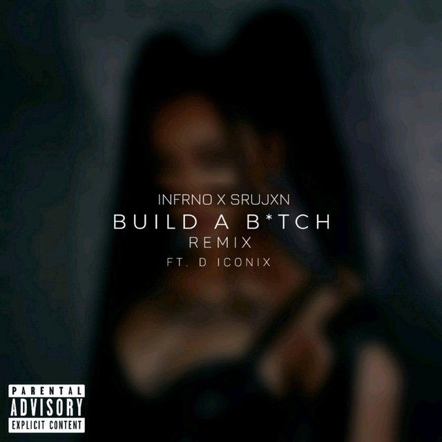 Build a Bitch (feat. Do Raahi) [Remix]