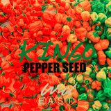 Pepper Seed