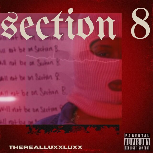 Section 8