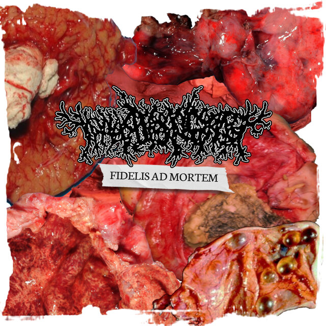 Fidelis Ad Mortem