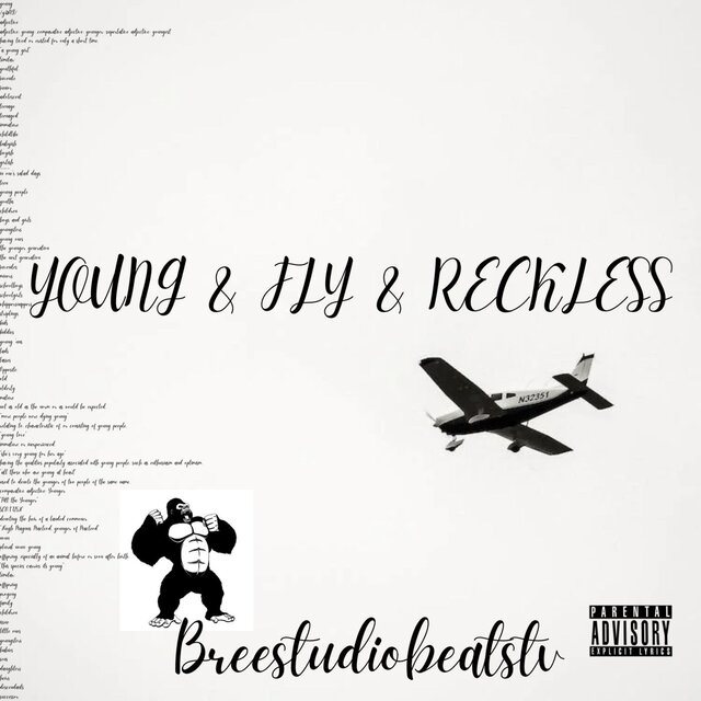 YOUNG & FLY & RECKLESS