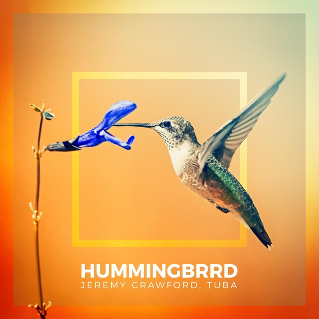 Hummingbrrd