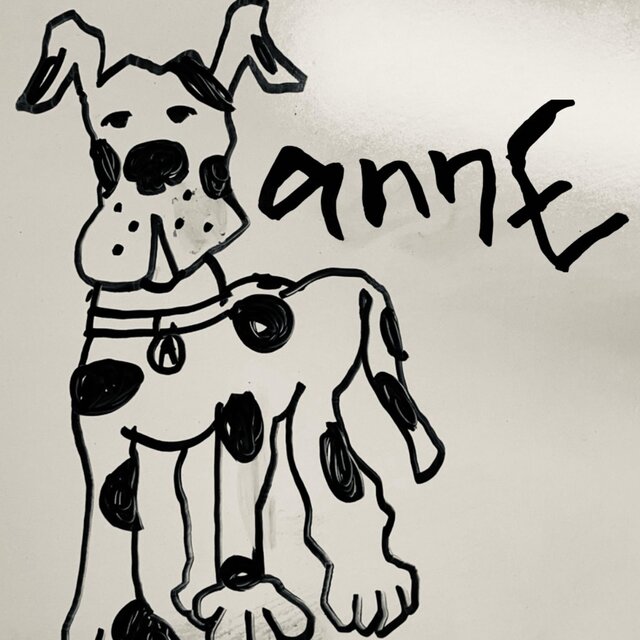 Spotted Dog