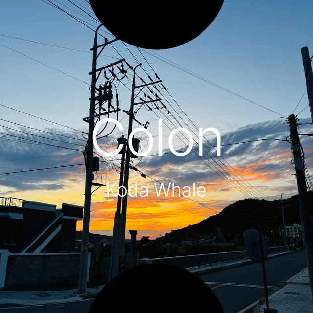 Colon