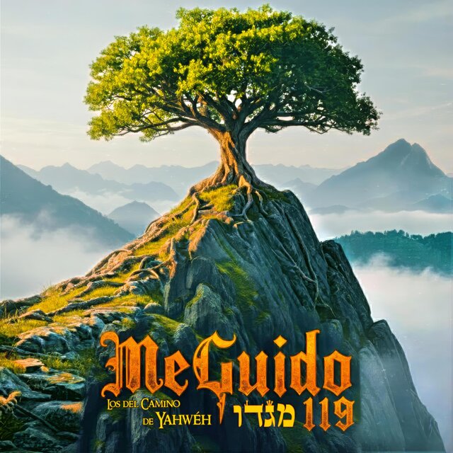 MeGuido