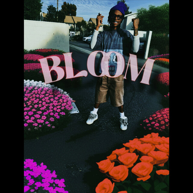 Bloom
