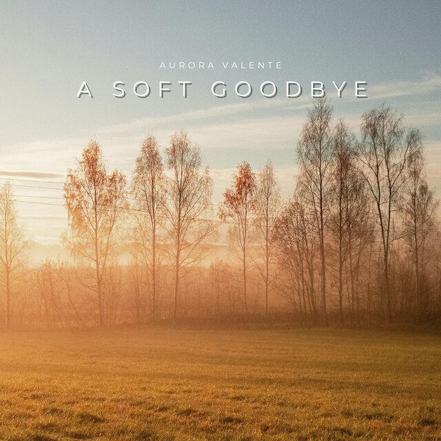 A Soft Goodbye