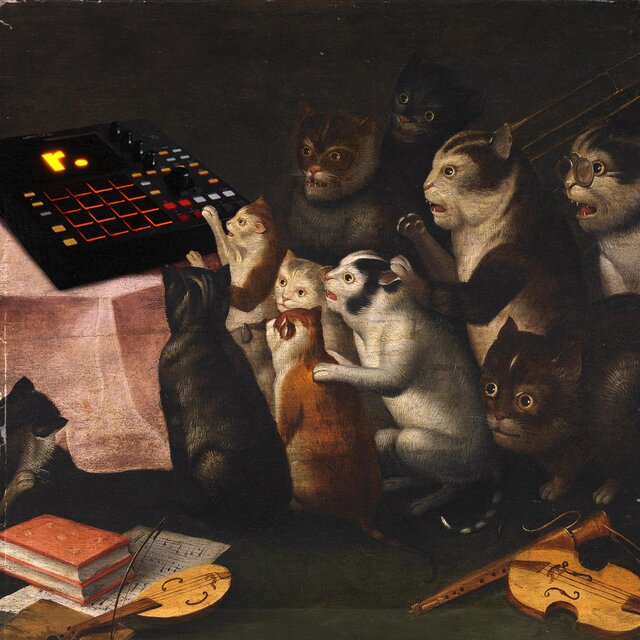 Beats For Cats