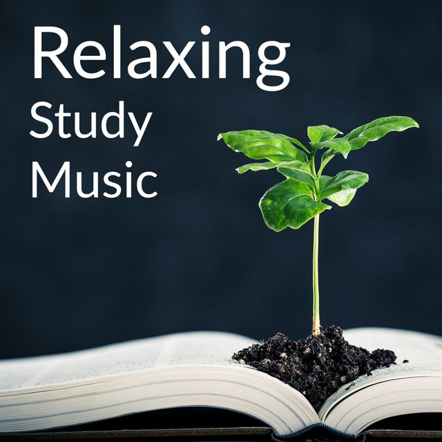 Relaxing Study Music