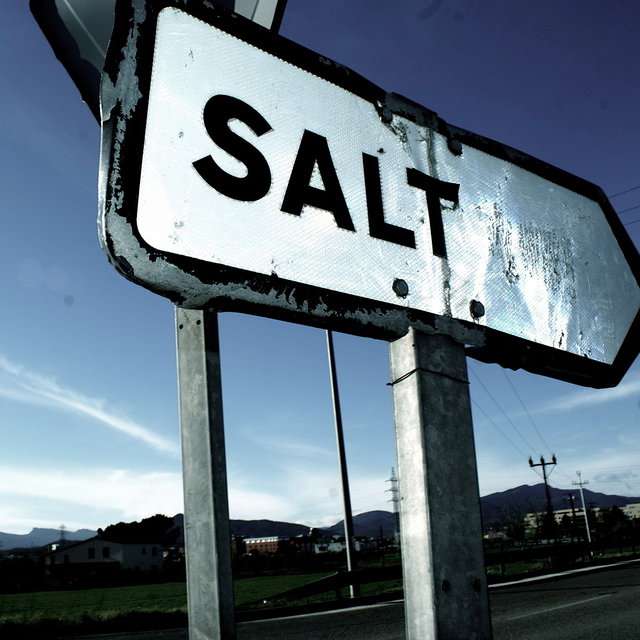 The Suburbs of Salt
