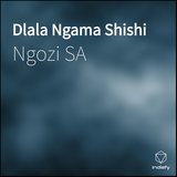 Dlala Ngama Shishi