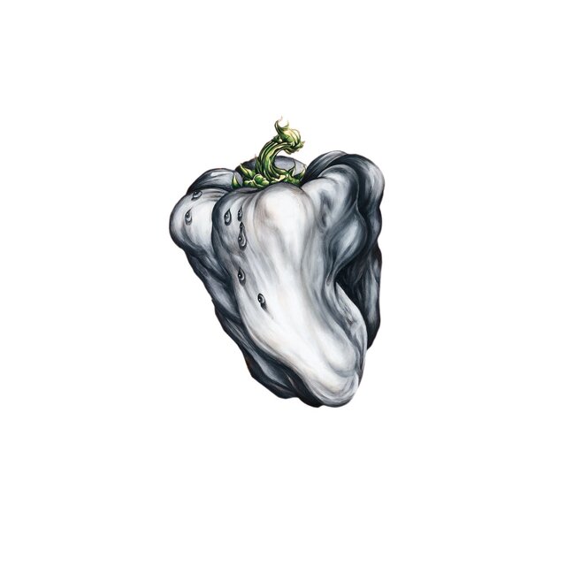 Cover art for album White Pepper by Ween