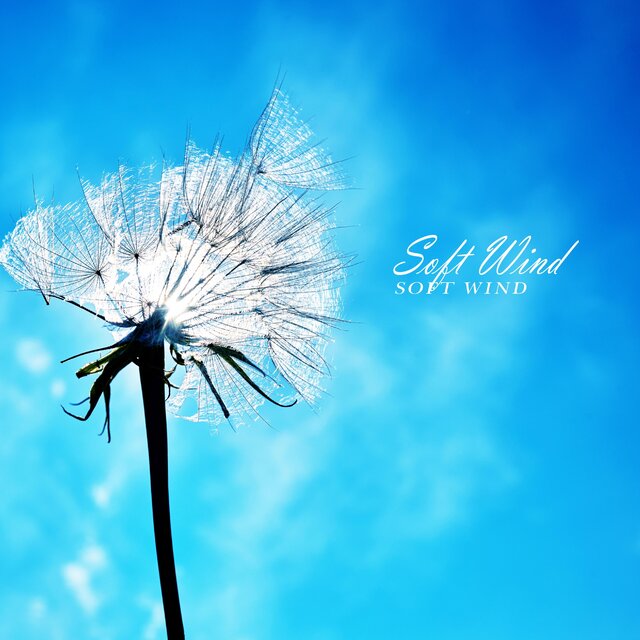 Soft Wind