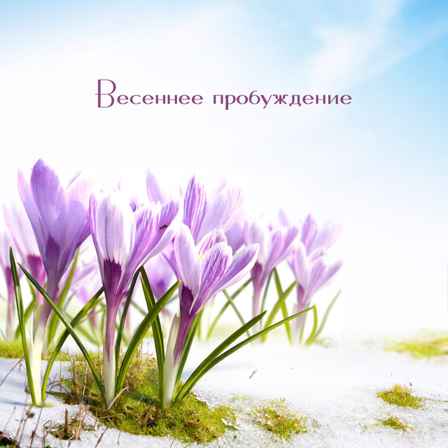 Весеннее пробуждение (джаз фоновая музыка)