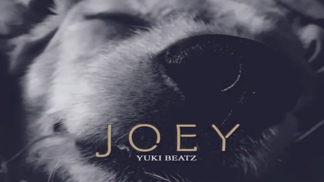 Joey (Lyric Video)
