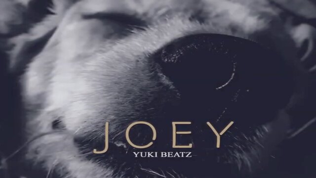 Joey (Lyric Video)