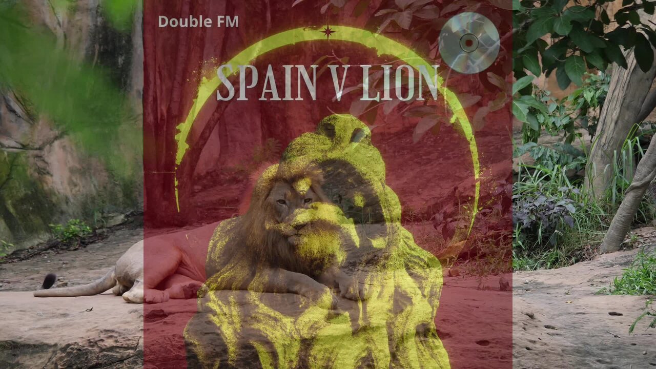 SPAIN VS LION
