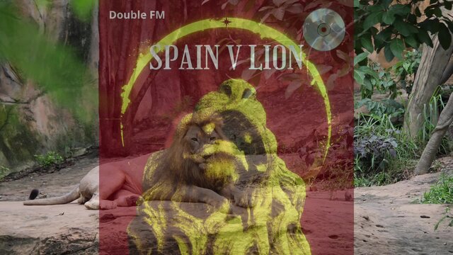 SPAIN VS LION