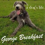 A Dog's Life