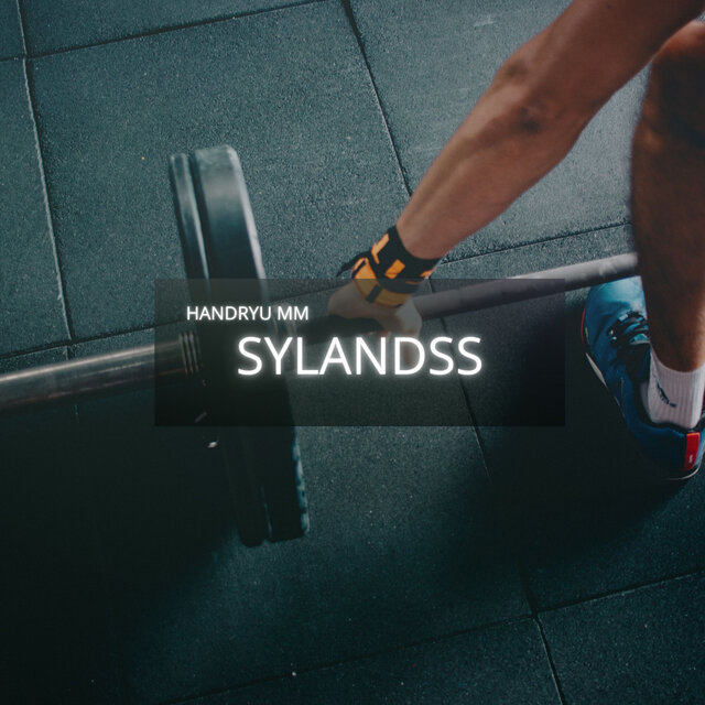SYLANDSS