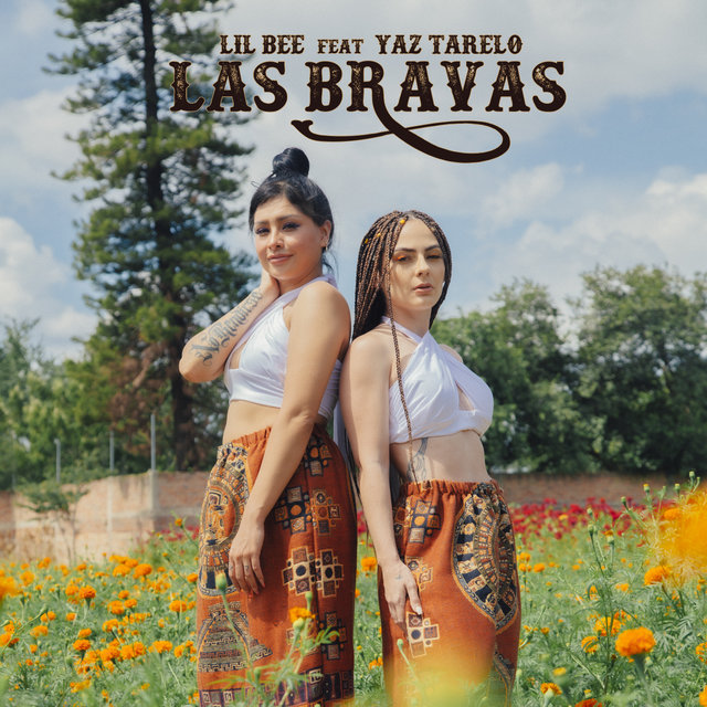 Las Bravas