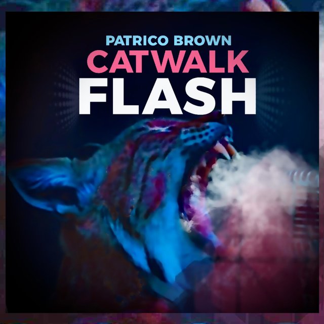 CATWALK FLASH