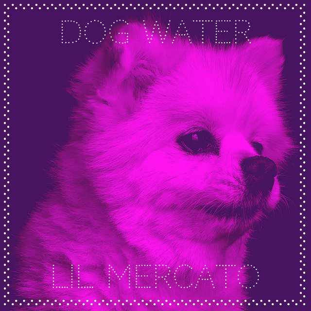 Dog Water