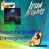 Beautiful Disaster (Reimagined)