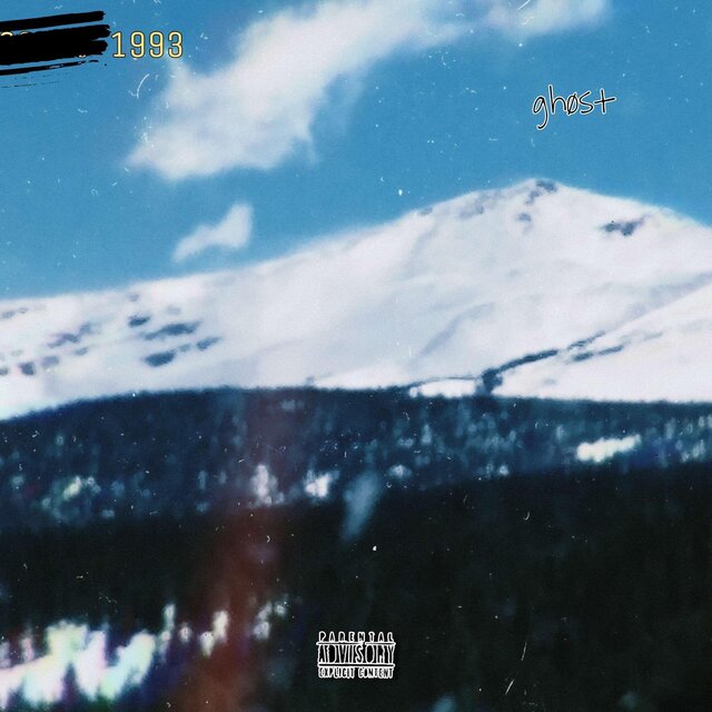 1993