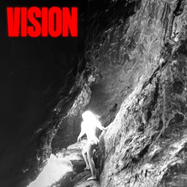 VISION