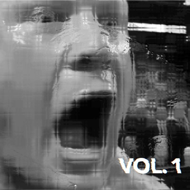 Vol. 1