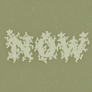 Cover art for album New Commute Now by User