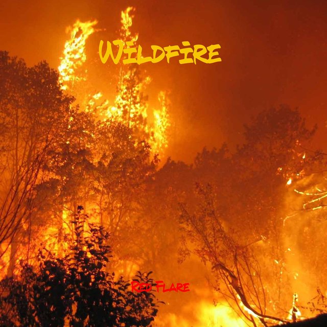 Wildfire