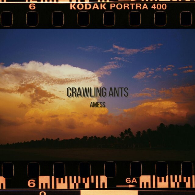Crawling Ants