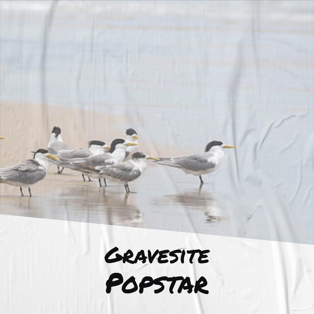 Gravesite Popstar