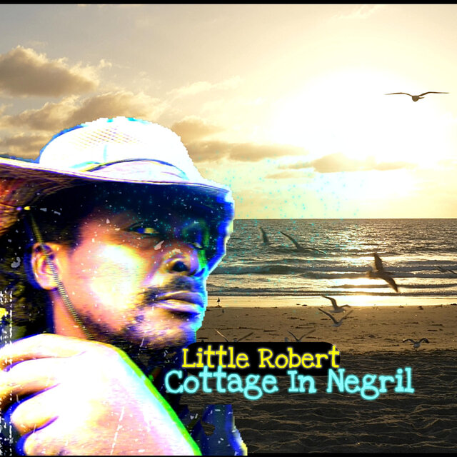 Cottage In Negril