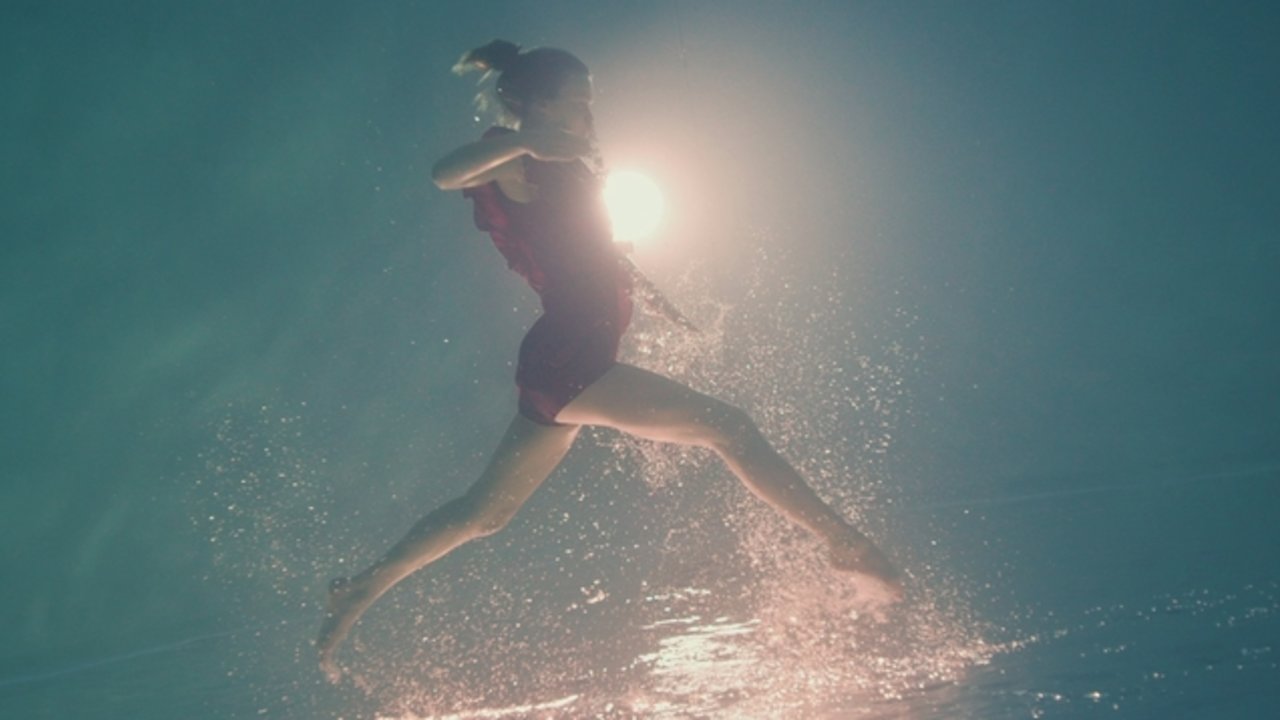 Halcyon Birds (Official Video)