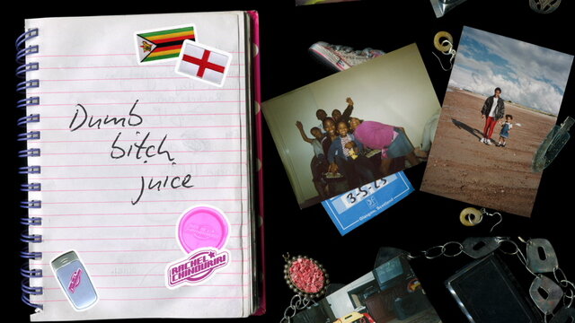 Dumb Bitch Juice (Lyric Video)