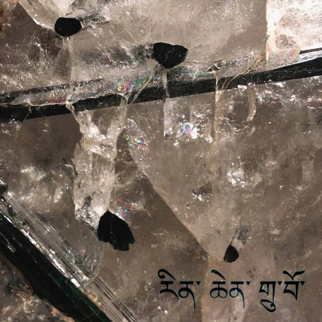 Matrix Shards 001