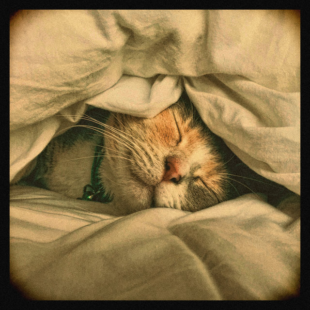 Sundays...