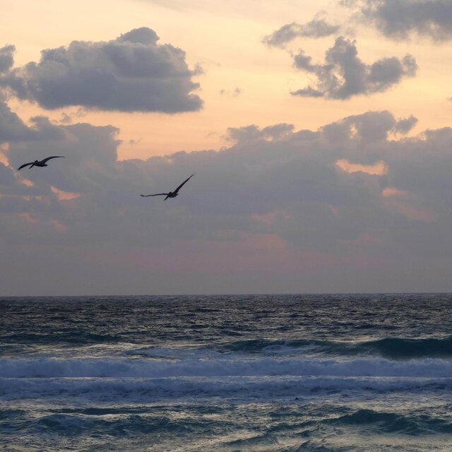 Waves (Piano)