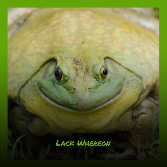 Lack Whereon