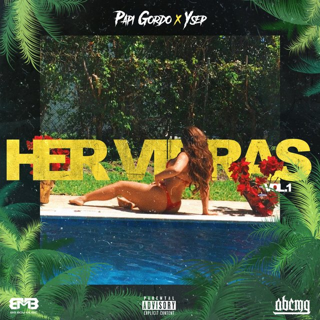 Her Vibras, Vol. 1