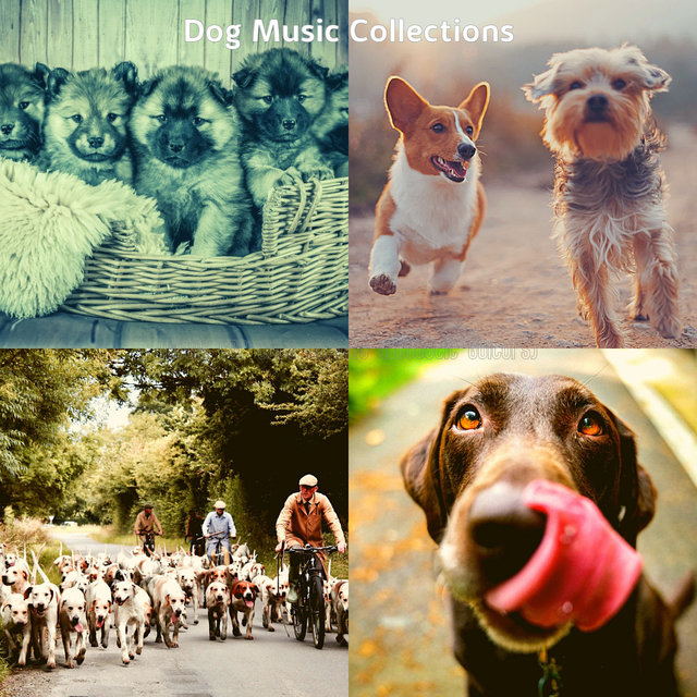 Music for Cute Puppies (Acoustic Guitars)