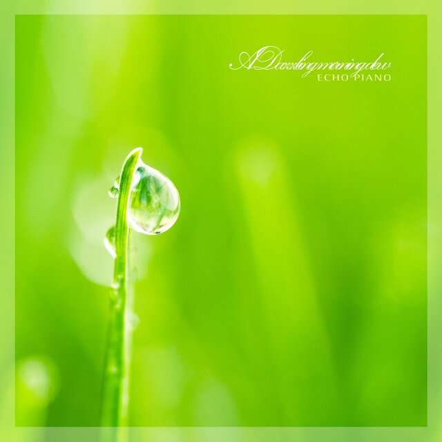 A Dazzling Morning Dew