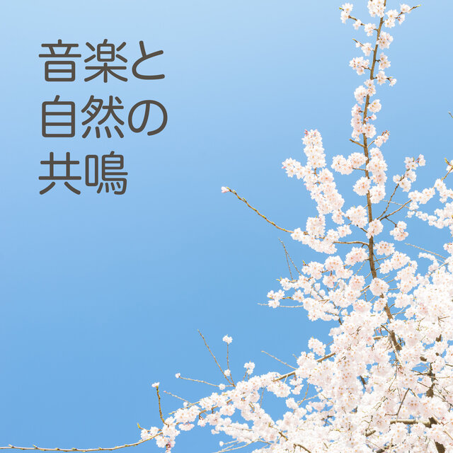 音楽と自然の共鳴