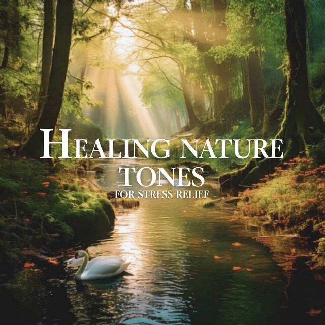 Healing Nature Tones for Stress Relief