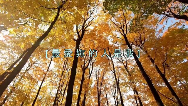 最愛妳的人是我 (Lyric Video)