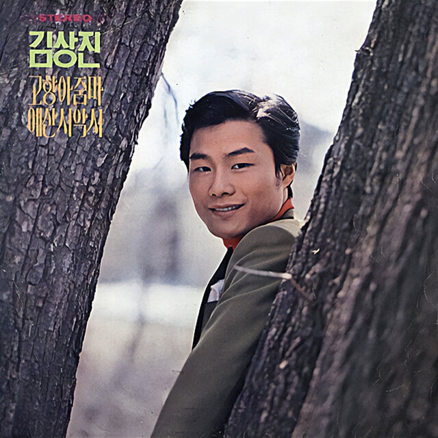 Kim Sang-jin (The Aunt from My Hometown, A Lady of Yesan)